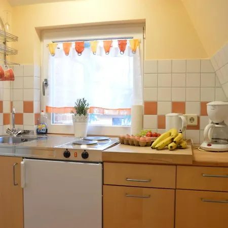 Vermietung Carmen Sagner *