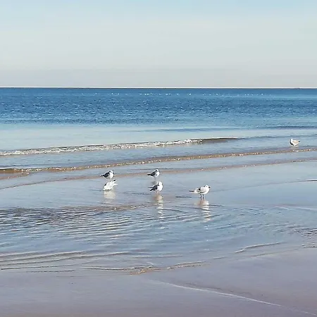 Vermietung Carmen Sagner * באבה