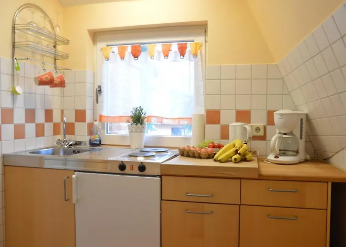 Vermietung Carmen Sagner *