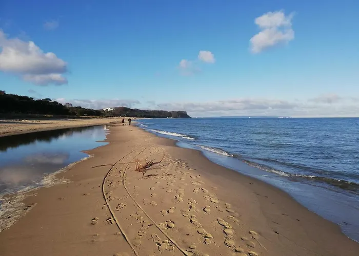 Vermietung Carmen Sagner